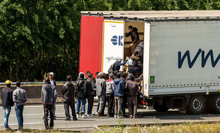 Inmigrantes se cuelan en un camión ocupado por un oso polar ruso